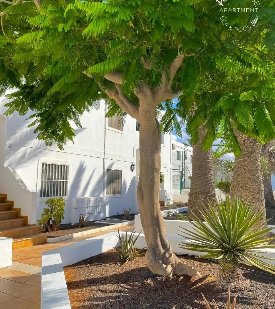 Pakky House Sea & Pool View By Irent Fuerteventura Apartment Corralejo
